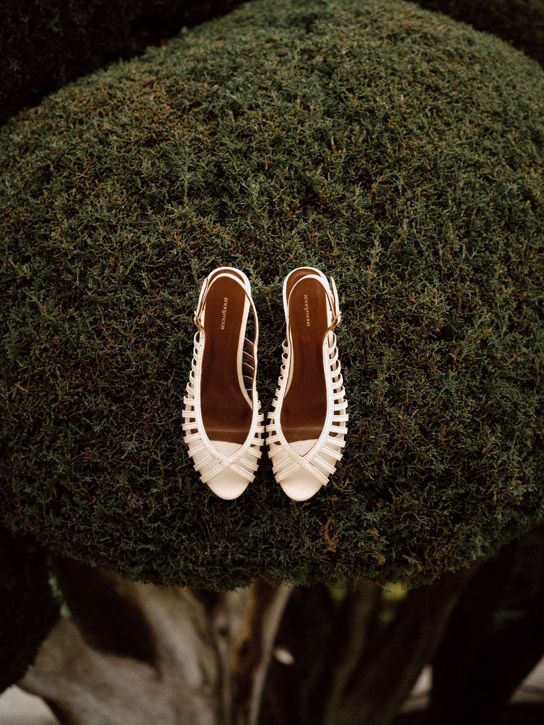 Dressing for summer celebrations
