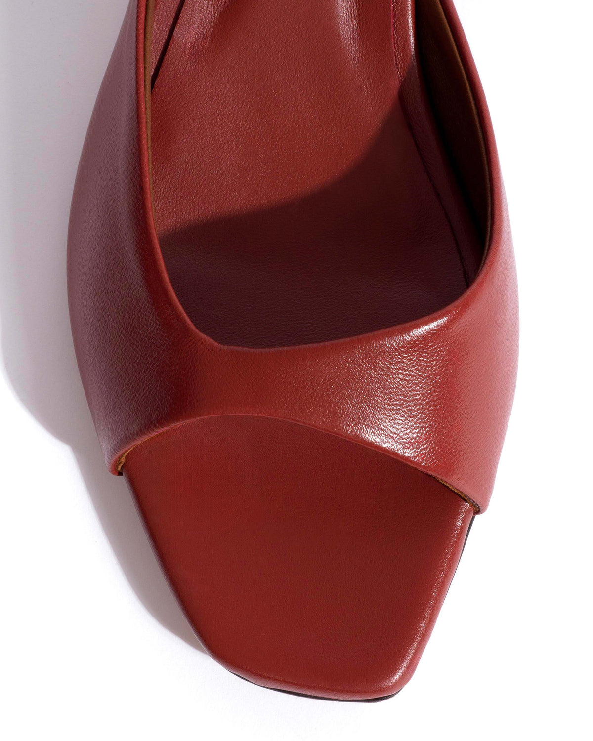Mazy 55 Shiny lamb Terracotta
