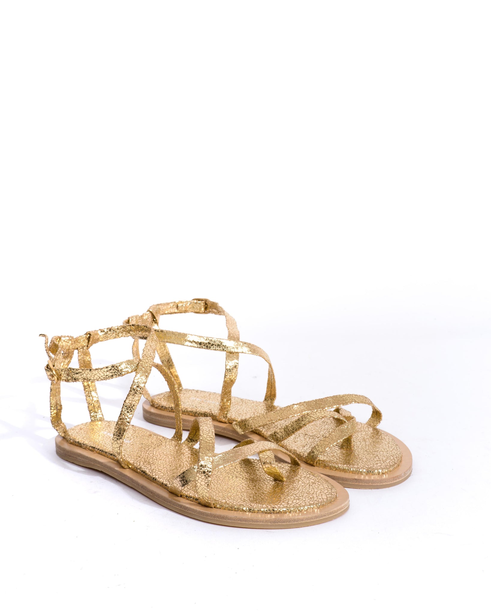 Sample-00196 - Anonymous Copenhagen Samples