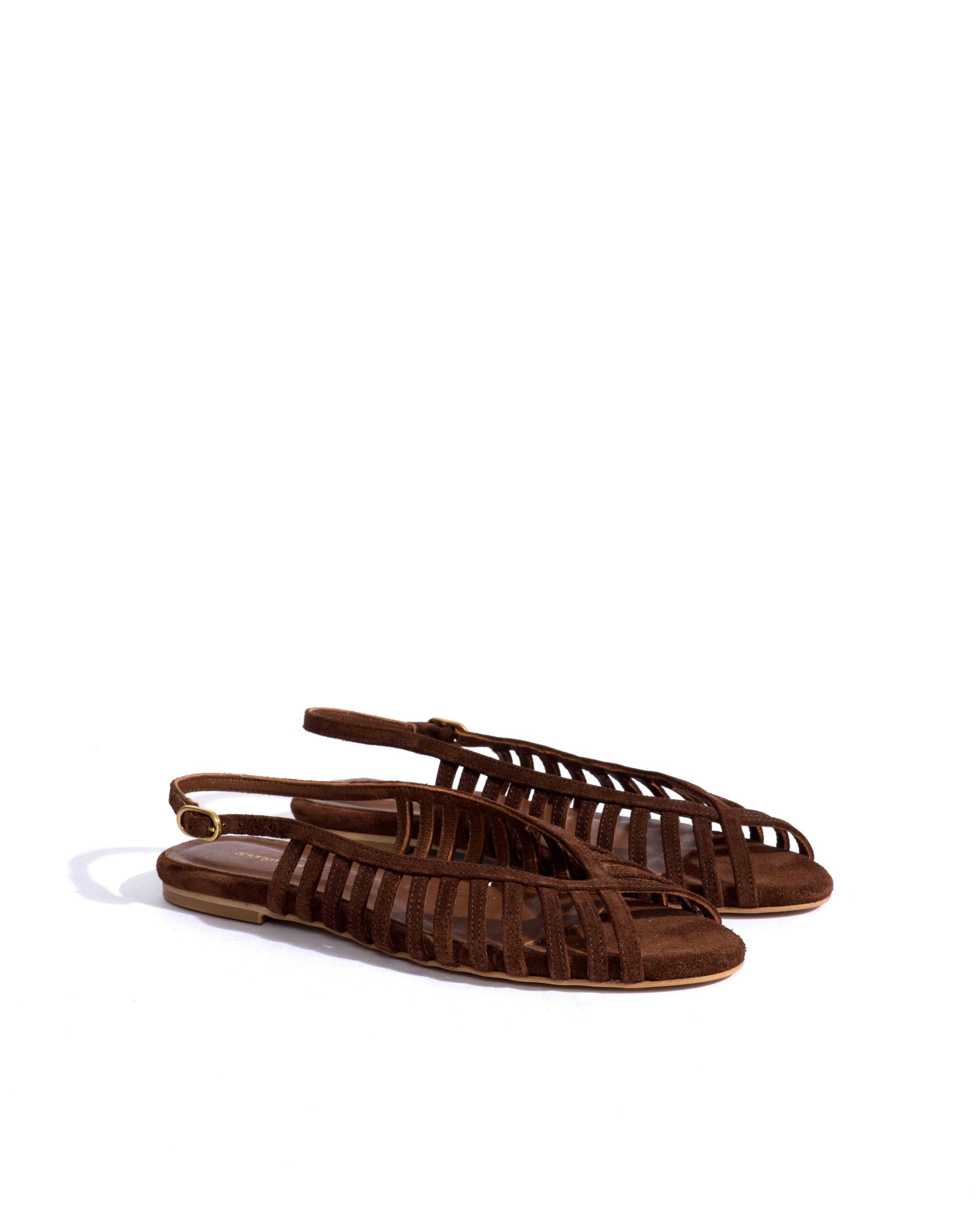 Sample-02060 - Anonymous Copenhagen Samples