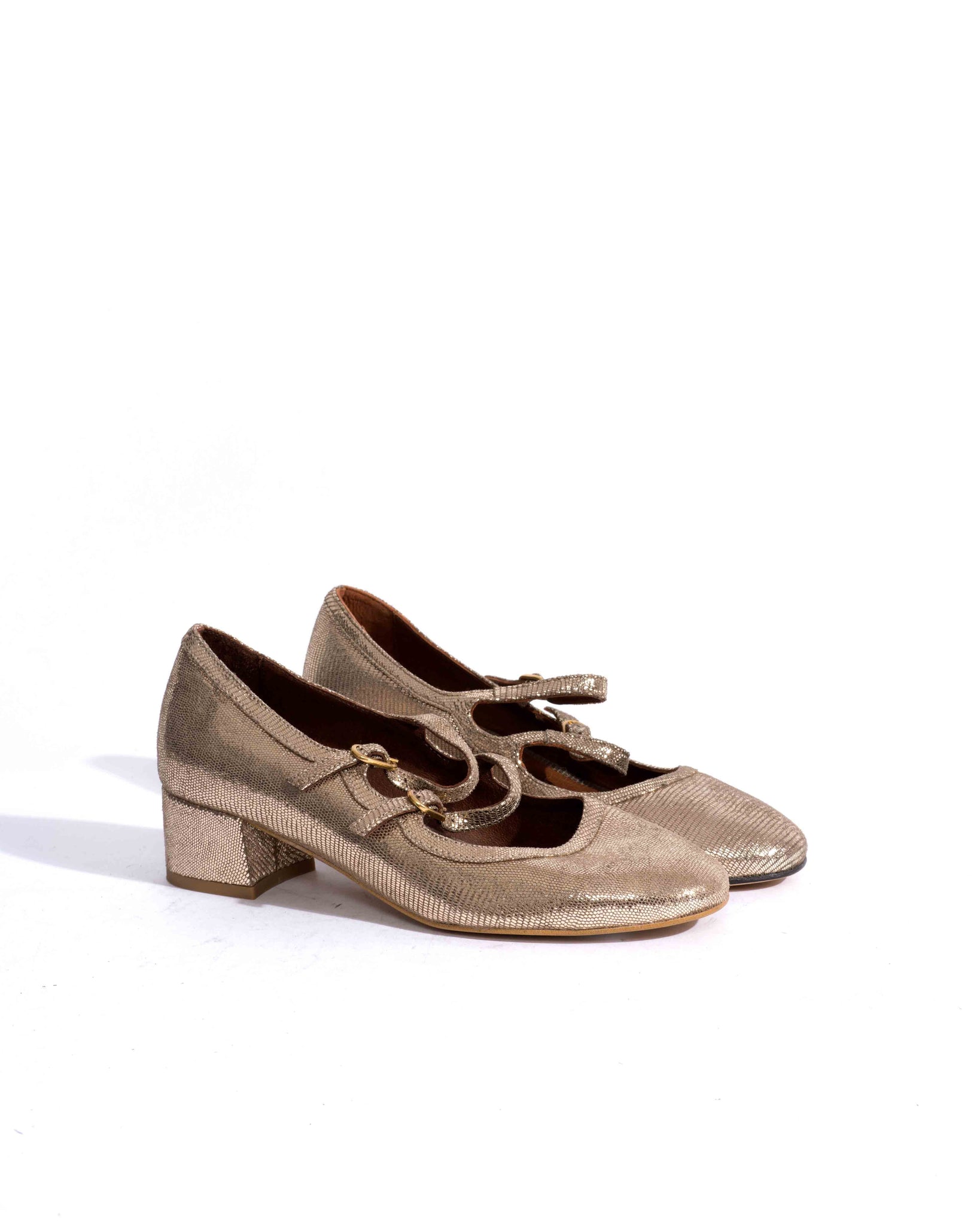 Sample-02486 - Anonymous Copenhagen Samples