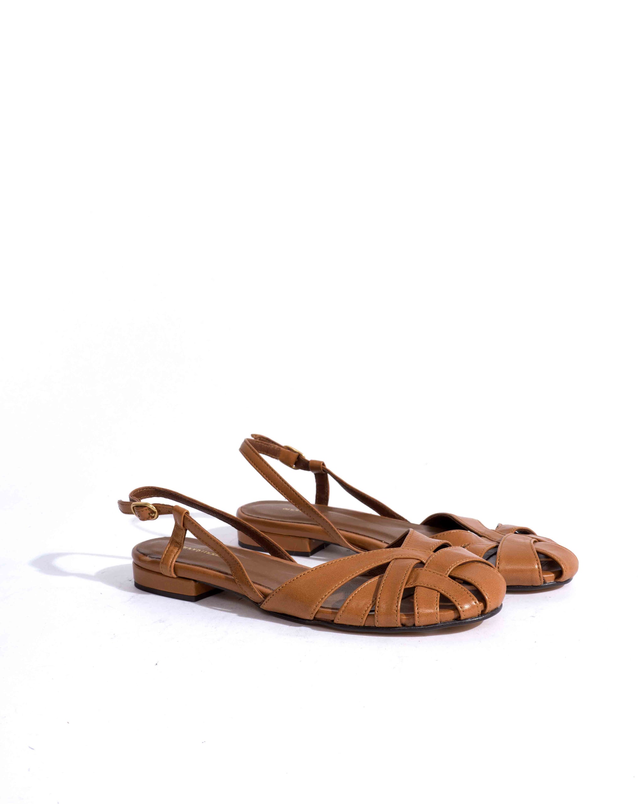 Sample-02568 - Anonymous Copenhagen Samples