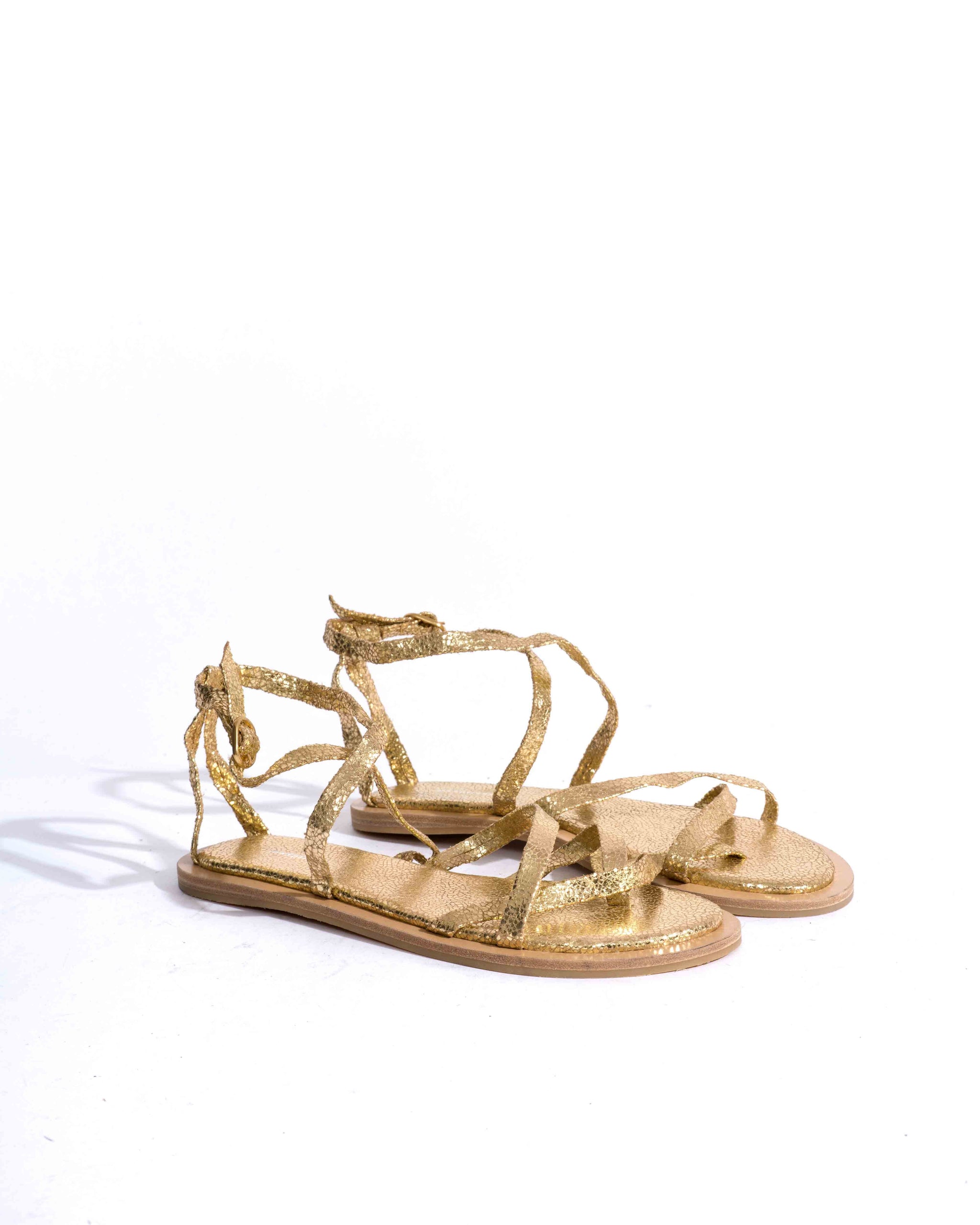 Sample-02585 - Anonymous Copenhagen Samples