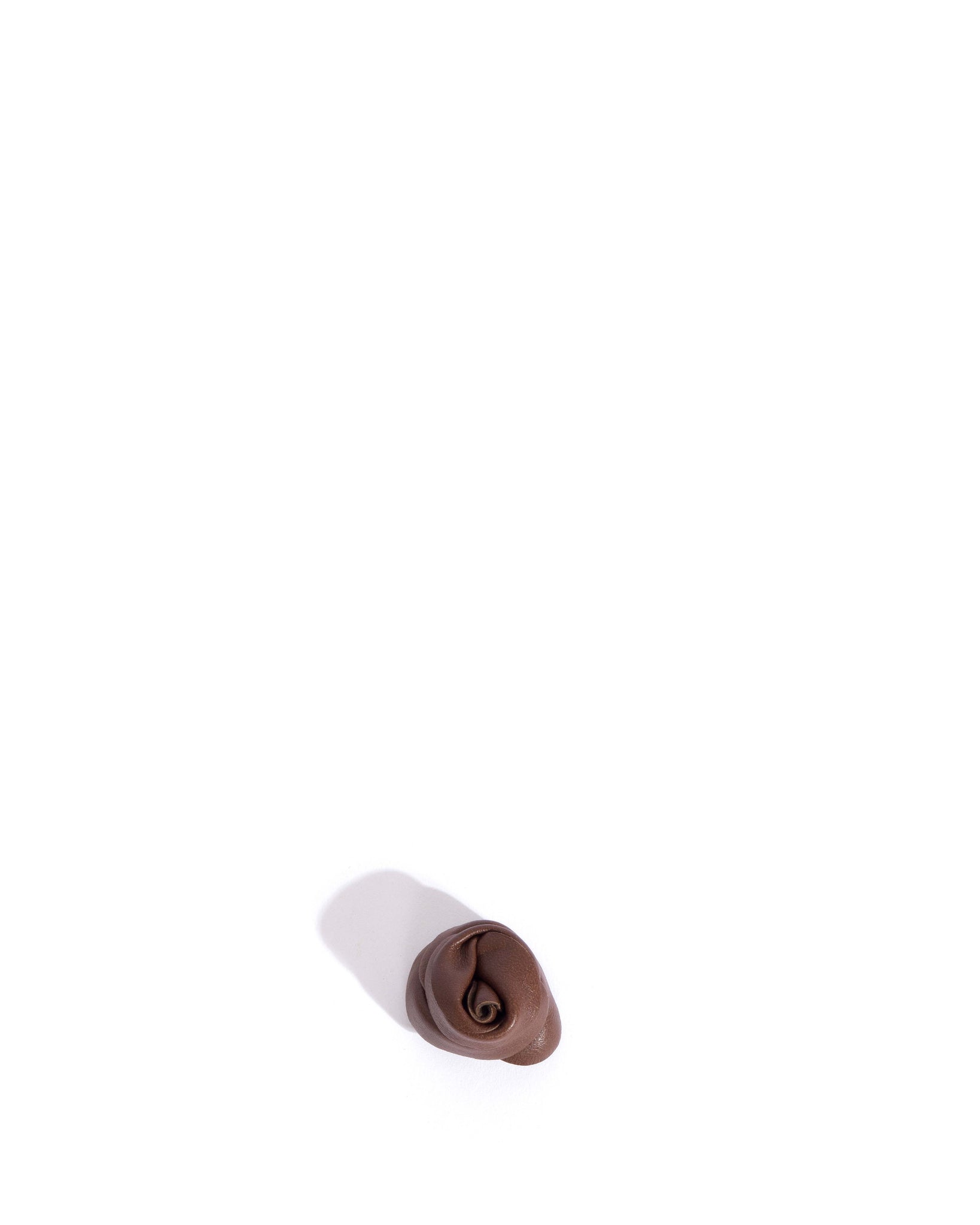 Rose shoe clip Shiny lamb Chocolate