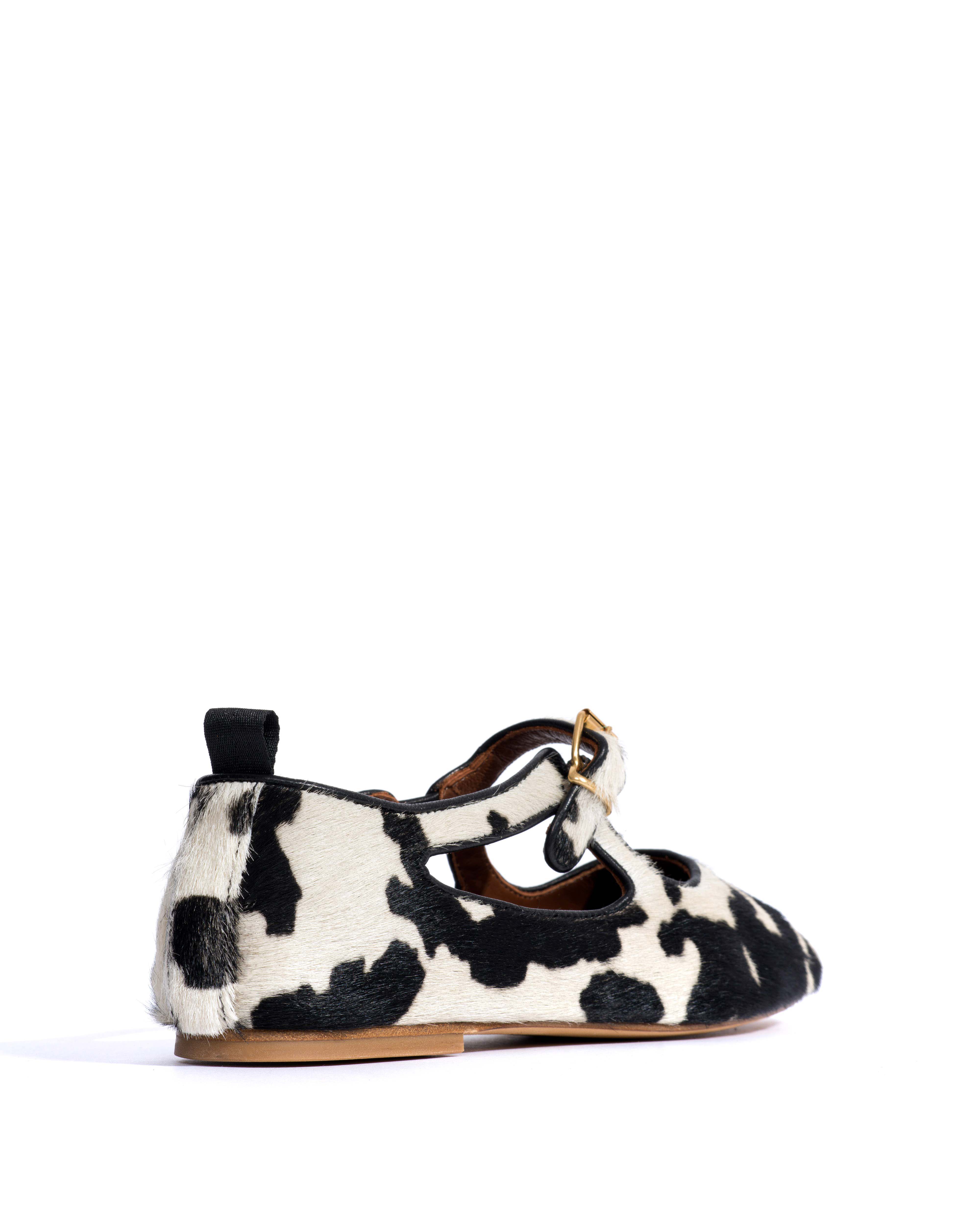 Praise Calf hair Holstein cow