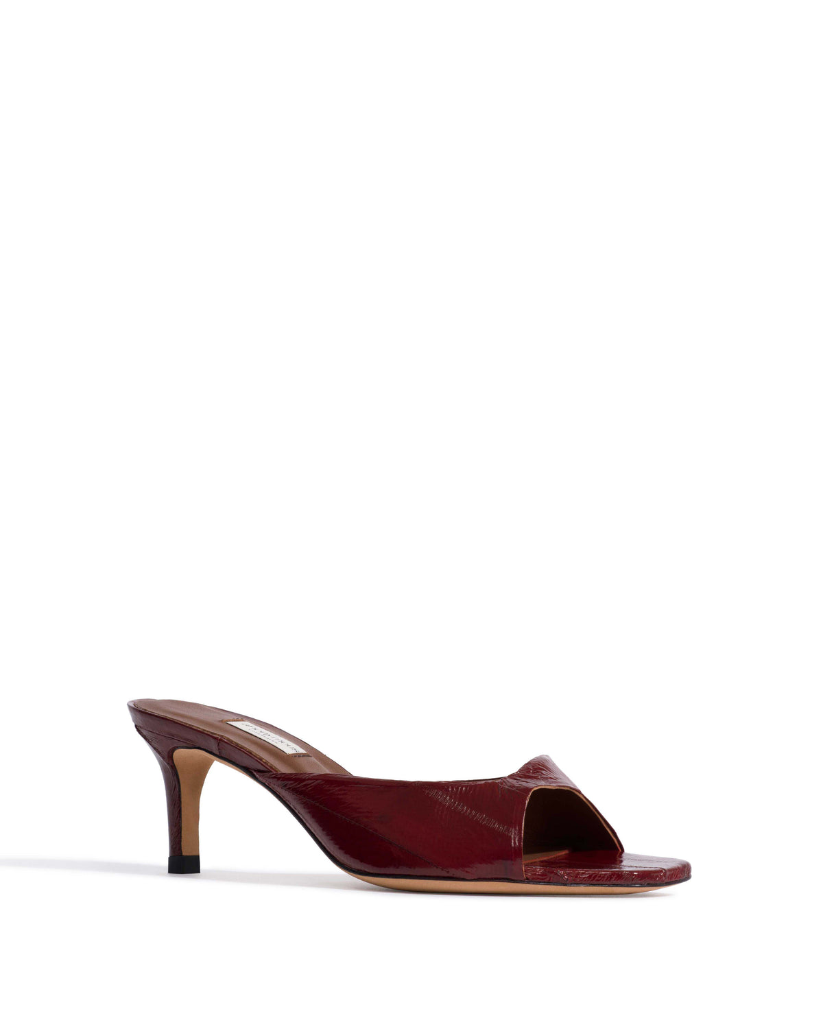 Mazy 55 Shiny eel Pomegranate