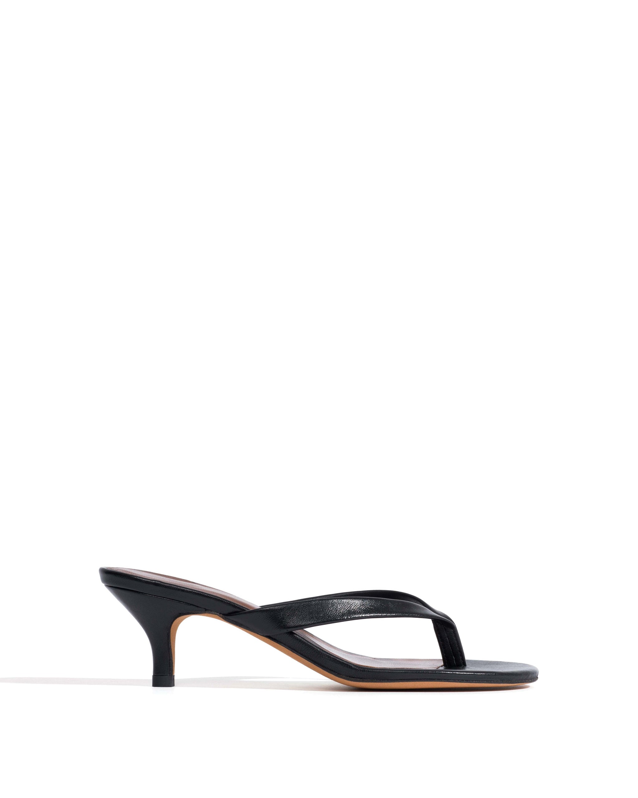 Chung 50 kitten Shiny lamb Black