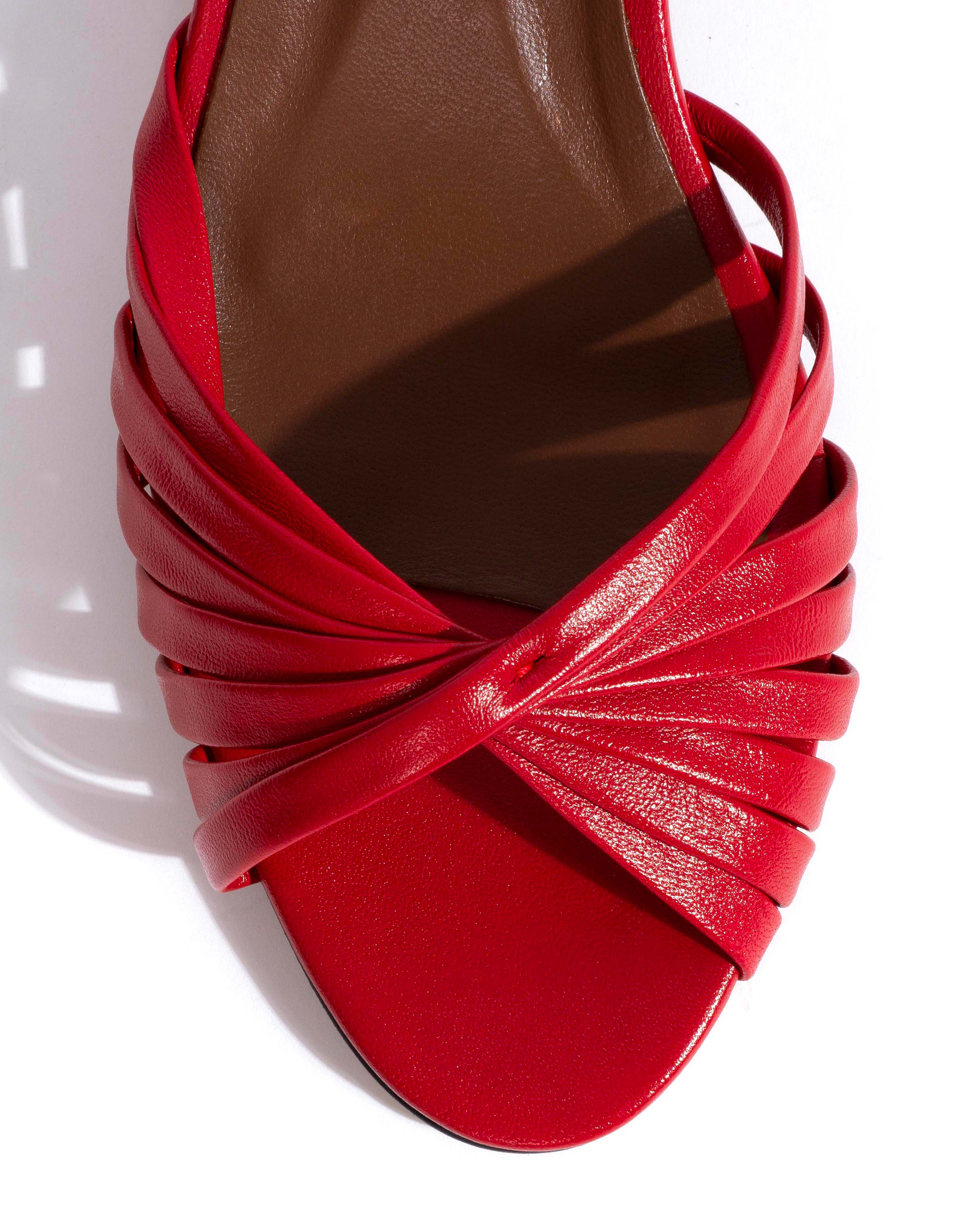 Margriet Shiny lamb Ruby red