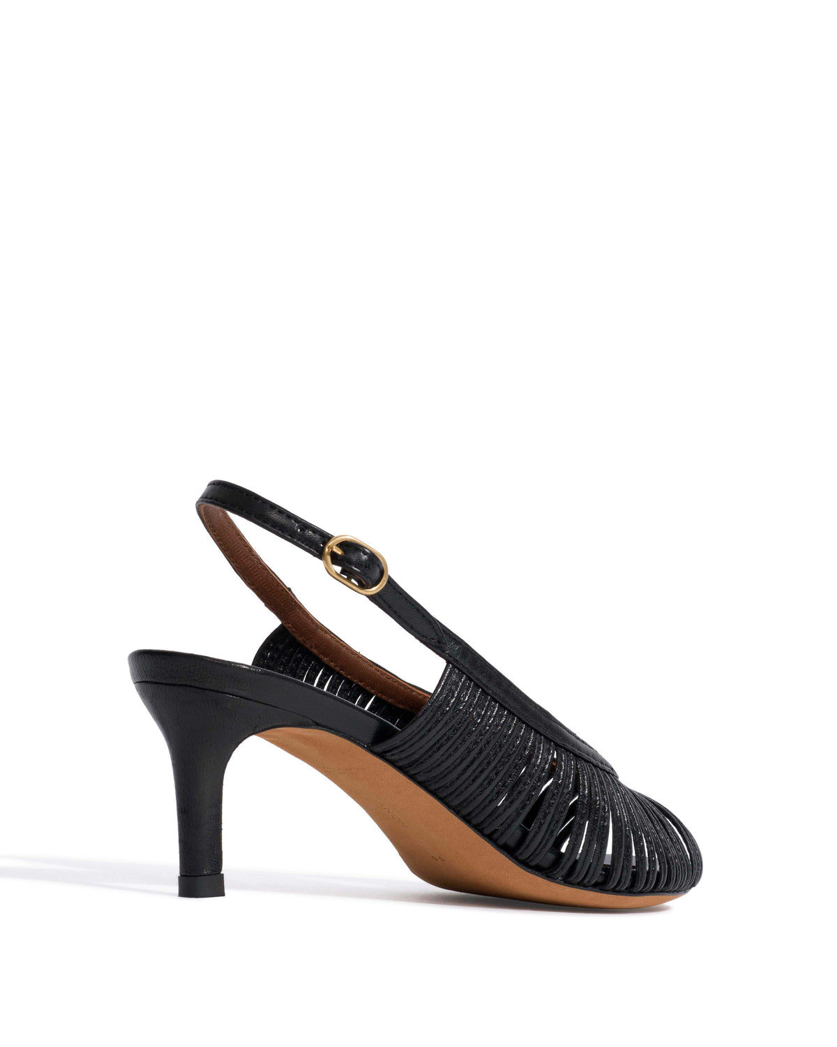 Zenia 55 Shiny lamb Black